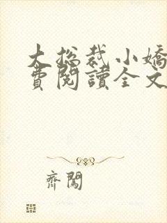 大总裁小娇妻免费阅读全文