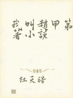 我叫赵甲第2原著小说