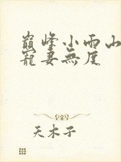 巅峰小雨山里汉宠妻无度