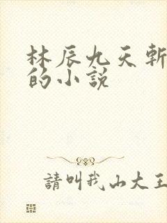 林辰九天斩神诀的小说