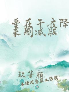 爱在午夜降临前未删减版