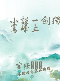 小说一剑独尊青鸾峰上