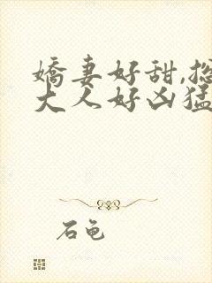 娇妻好甜,总裁大人好凶猛