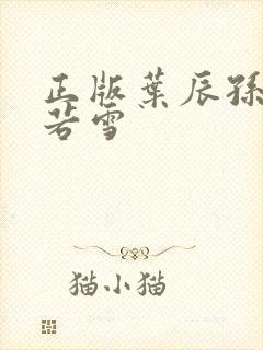 正版叶辰孙怡夏若雪