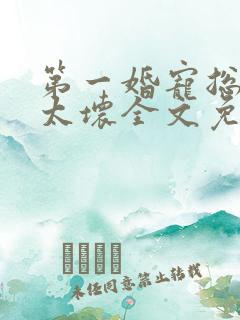 第一婚宠总裁别太坏全文免费阅读