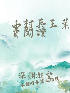 山村兵王叶秋免费阅读