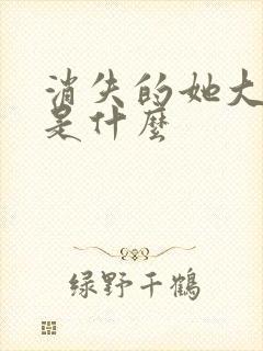 消失的她大结局是什么