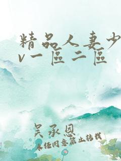 精品人妻少妇av一区二区