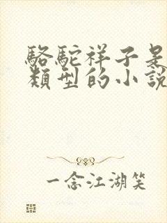 骆驼祥子是什么类型的小说