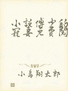 小说傅少的心尖宠妻免费阅读