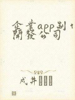 企业app制作开发公司