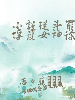 小说从斗罗开始俘获女神徐然/朱竹清免费