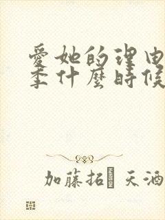 爱她的理由第2季什么时候出