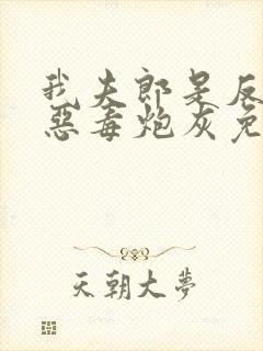 我夫郎是反派我恶毒炮灰免费阅读