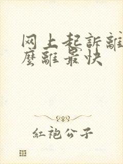 网上起诉离婚怎么离最快