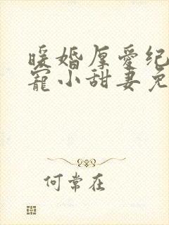 暖婚厚爱纪总独宠小甜妻免费看全集