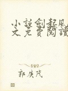 小说剑起风云全文免费阅读完整版