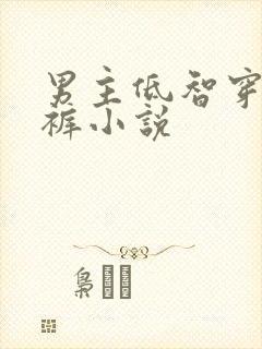 男主低智穿纸尿裤小说