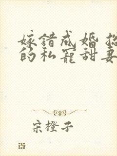 嫁错成婚 总裁的私宠甜妻