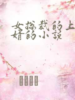 女总裁的上门女婿的小说