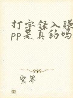 打字录入赚钱app是真的吗