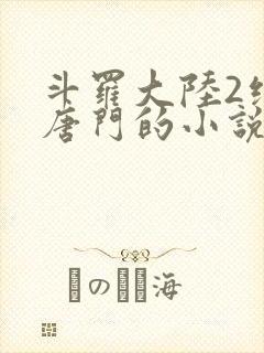 斗罗大陆2绝世唐门的小说