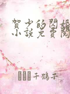 贺少的闪婚暖妻小说免费阅读