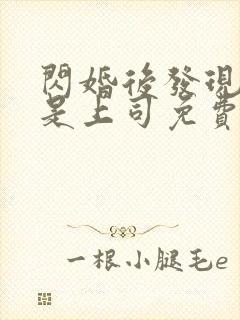 闪婚后发现老公是上司免费阅读