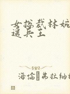 女总裁林婉的逍遥兵王