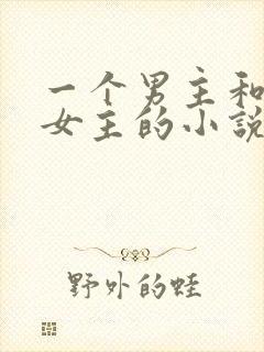 一个男主和多个女主的小说