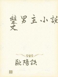 双男主小说高干文