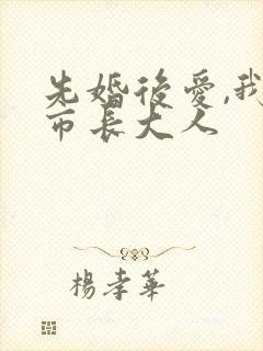 先婚后爱,我的市长大人