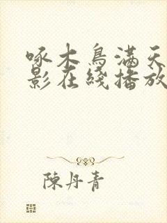 啄木鸟满天星电影在线播放