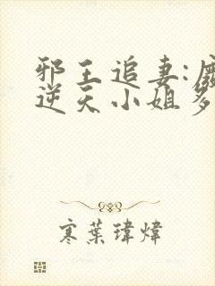 邪王追妻:废材逆天小姐多少章