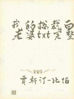 我的总裁白富美老婆txt完整无错版