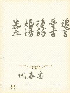 先婚后爱追妻火葬场的古言