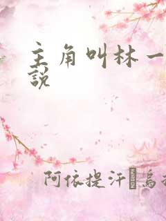 主角叫林一的小说