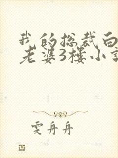 我的总裁白富美老婆3楼小说免费版