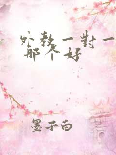 外教一对一网上 哪个好