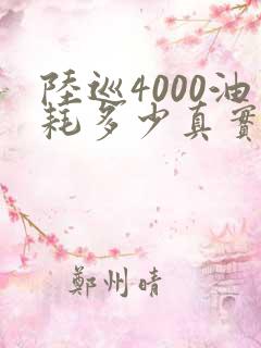 陆巡4000油耗多少真实油耗