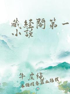 藏经阁第一版主小说