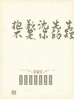 抱歉沈先生孩子不是你的短剧在线免费观看