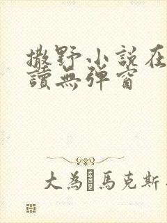 撒野小说在线阅读无弹窗