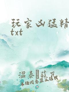 玩家凶猛精校版txt