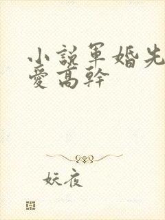 小说军婚先婚后爱高干