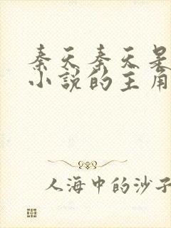 秦天秦天是哪部小说的主角