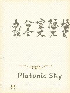 办公室隐婚 小说全文免费阅读