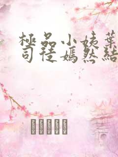 极品小姨叶凡和司徒嫣然结局