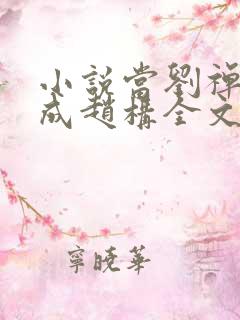 小说当刘禅穿越成赵构全文阅读