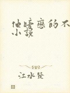 他暗恋的不是我小说